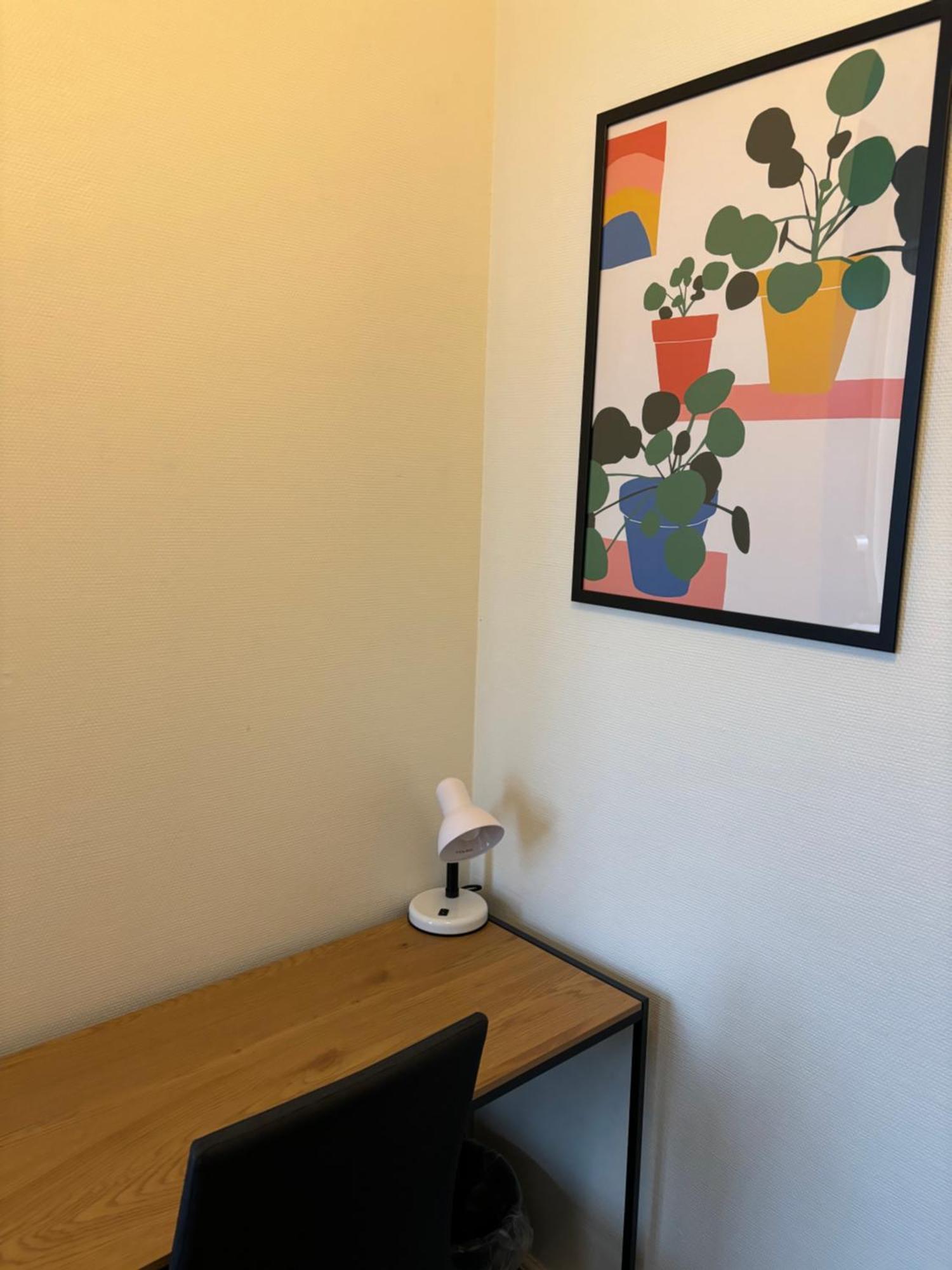 Danhostel Odense City Exteriér fotografie A Google Home Hub
